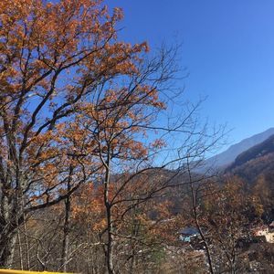 Meet your Posher, Eileen